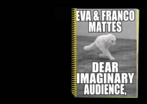 Dear Imaginary Audience