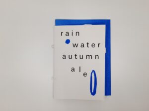 NETbook 2: Rainwater, Autumn, Ale, with Henriëtte Waal