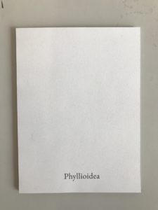Phyllioidea
