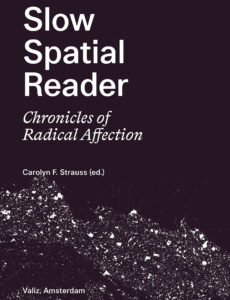 Slow Spatial Reader - Chronicles of Radical Affection